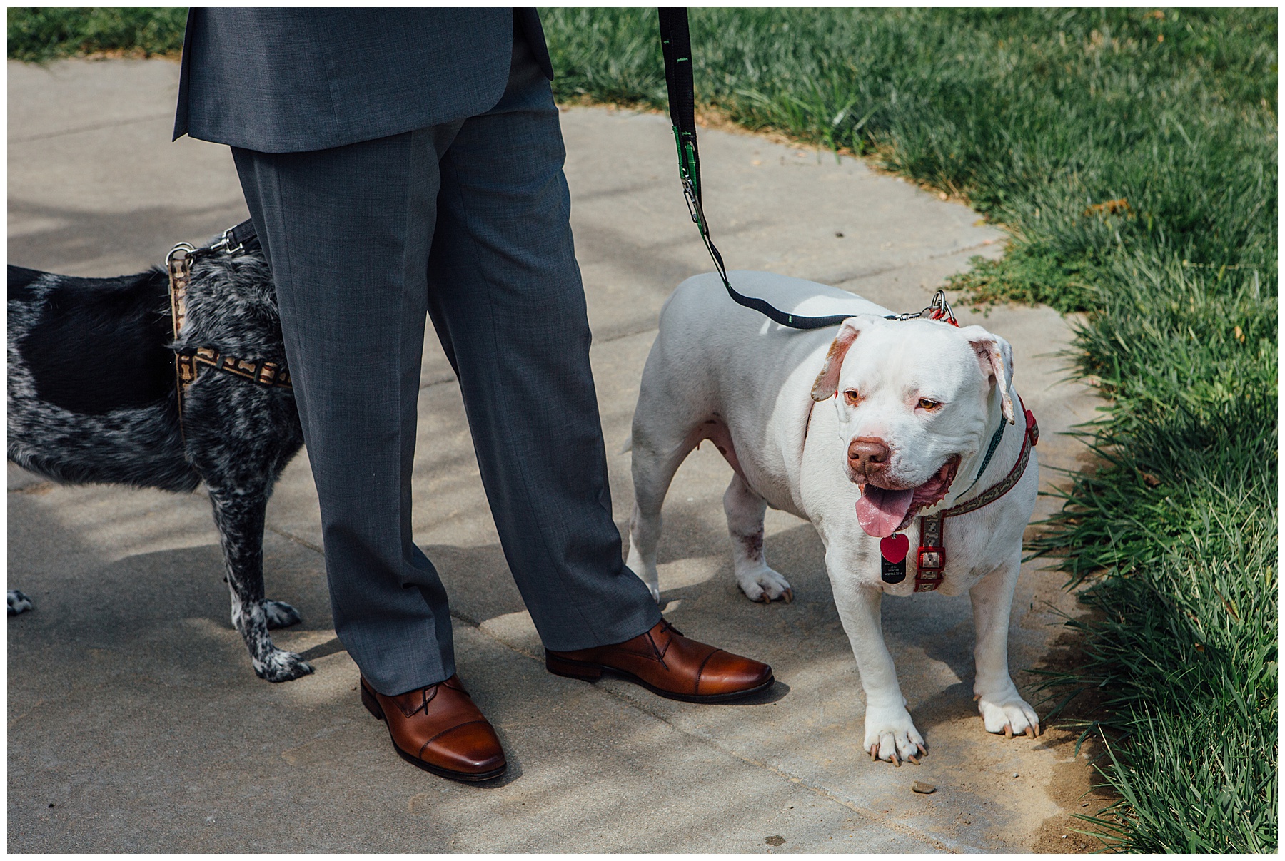 Groom with dog