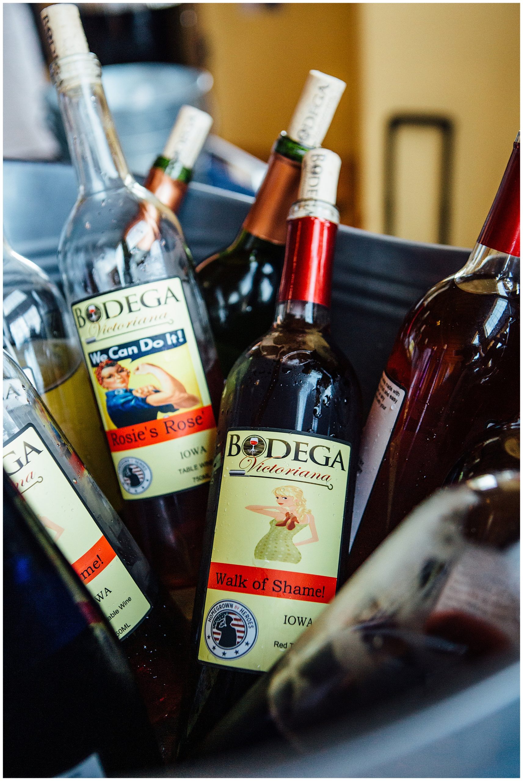 Bodega Wine Bottles