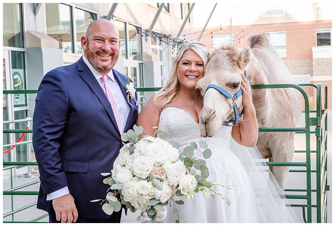 Bride and Groom with Camel