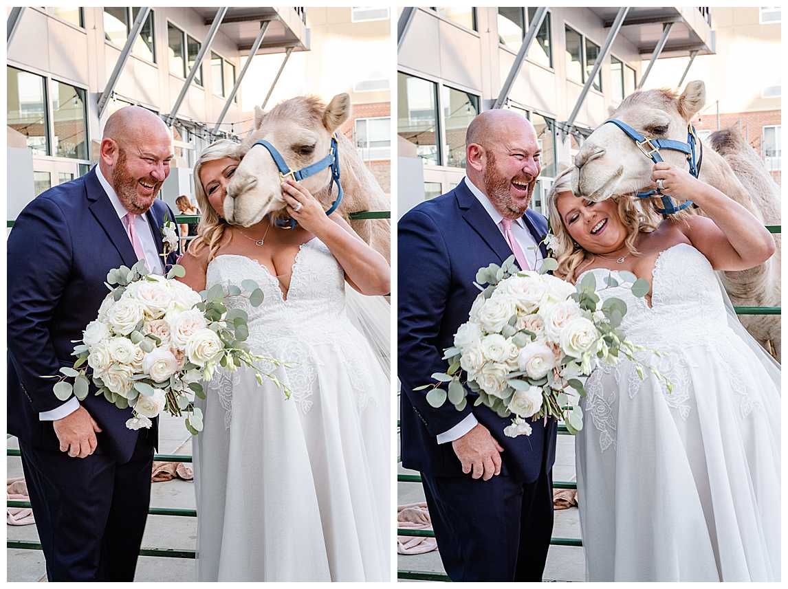 Bride and Groom with Camel